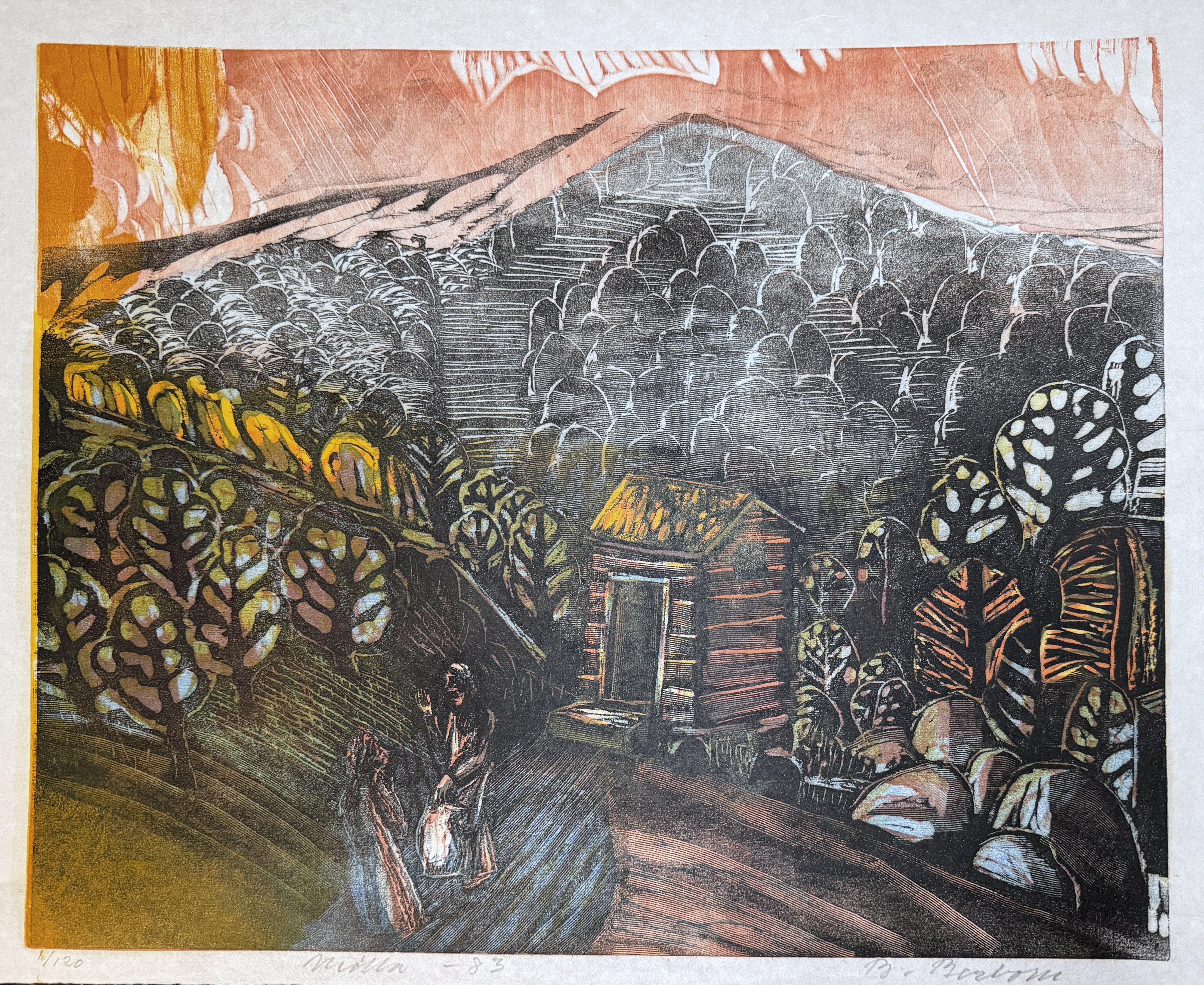 Mølla 1983